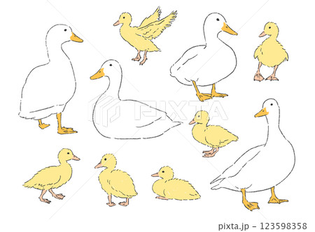 アヒルとヒナの手書きイラストセット 123598358