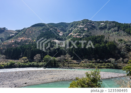 うららかな春空を背景に映える那良川（ならがわ）と山桜風景　(人吉・球磨村) 123598495