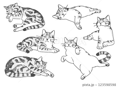 眠っているネコの手描きイラストセット 123598598