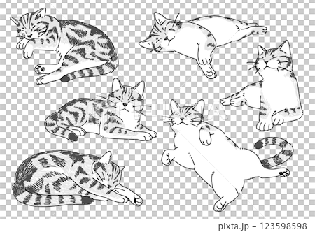 眠っているネコの手描きイラストセット 123598598