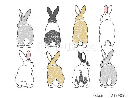様々な毛色のウサギの後ろ姿の手書きイラスト 123598599