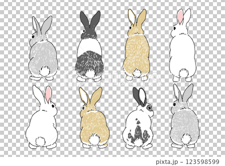 様々な毛色のウサギの後ろ姿の手書きイラスト 123598599