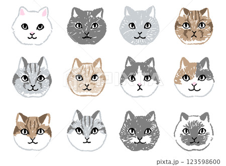 様々な模様の猫の顔の手書きアイコンイラストセット 様々な模様の猫の顔の手書きアイコンイラストセット 123598600