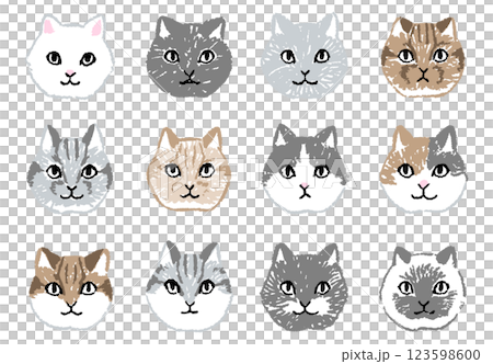 様々な模様の猫の顔の手書きアイコンイラストセット 様々な模様の猫の顔の手書きアイコンイラストセット 123598600