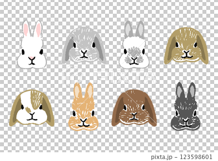 様々な模様のうさぎの顔の手書きアイコンイラストセット 123598601