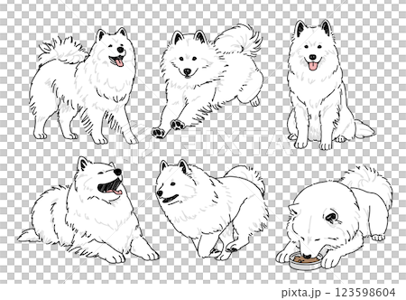 薩摩耶的各種姿勢的手繪插畫集 薩摩耶的各種姿勢的手繪插畫集 123598604