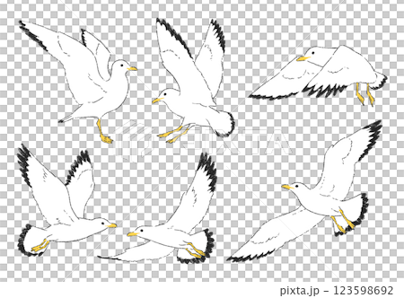 手繪插畫集各種姿勢的海鷗 123598692