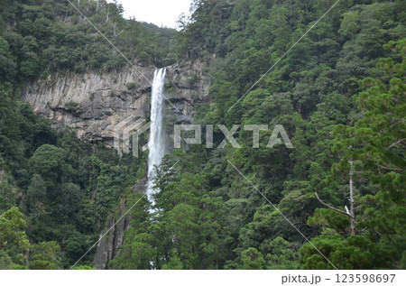那智の滝 123598697