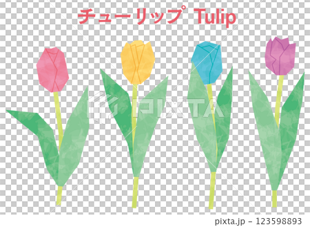 春の花 チューリップ 水彩風 春の花 チューリップ 水彩風 123598893