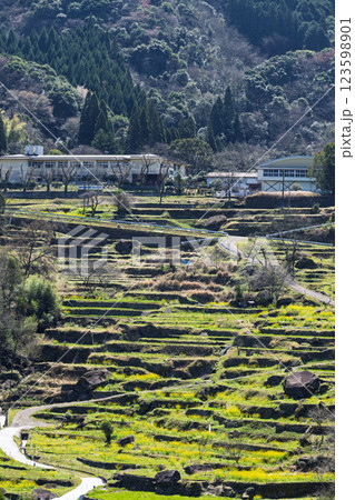 春景色の蓮華・菜の花に映える棚田風景「(日本の棚田百選) 松谷棚田(まつたにたなだ)」人吉・球磨 春景色の蓮華・菜の花に映える棚田風景「(日本の棚田百選) 松谷棚田(まつたにたなだ)」人吉・球磨 123598901