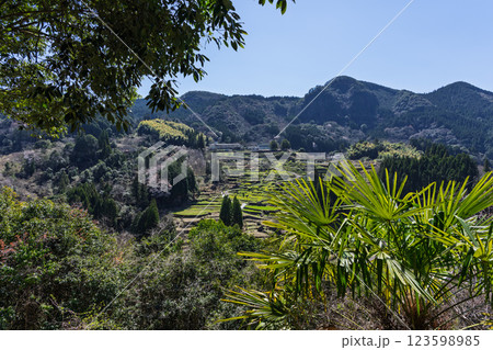 春景色の蓮華・菜の花に映える棚田風景「(日本の棚田百選) 松谷棚田(まつたにたなだ)」人吉・球磨 春景色の蓮華・菜の花に映える棚田風景「(日本の棚田百選) 松谷棚田(まつたにたなだ)」人吉・球磨 123598985