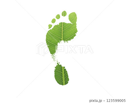 green leaf growing footprints, co2 symbol isolated on White Background. Reduce CO2 emission concept.Clean and friendly environment without carbon dioxide emissions.With clipping path. green leaf growing footprints, co2 symbol isolated on White Background. Reduce CO2 emission concept.Clean and friendly environment without carbon dioxide emissions.With clipping path. 123599005