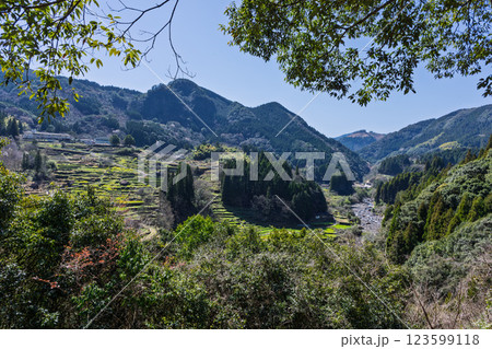 春景色の蓮華・菜の花に映える棚田風景「(日本の棚田百選) 松谷棚田(まつたにたなだ)」人吉・球磨 春景色の蓮華・菜の花に映える棚田風景「(日本の棚田百選) 松谷棚田(まつたにたなだ)」人吉・球磨 123599118
