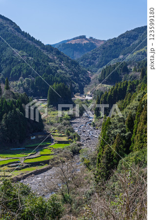 春景色の蓮華・菜の花に映える棚田風景「(日本の棚田百選)　松谷棚田（まつたにたなだ）」人吉・球磨 123599180