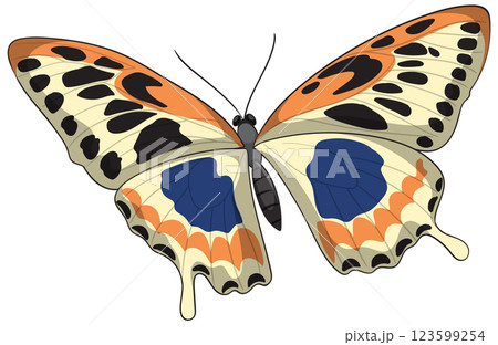 Colorful Butterfly with Intricate Patterns Colorful Butterfly with Intricate Patterns 123599254