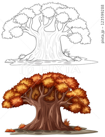 Autumn Tree Illustration with Outline Autumn Tree Illustration with Outline 123599288