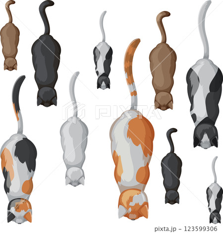 Colorful Cats Walking Together 123599306