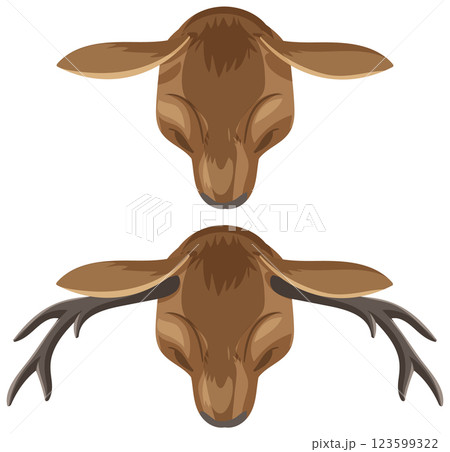 Top-Down View of Deer Heads 123599322