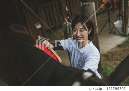 involved with horses 123599705