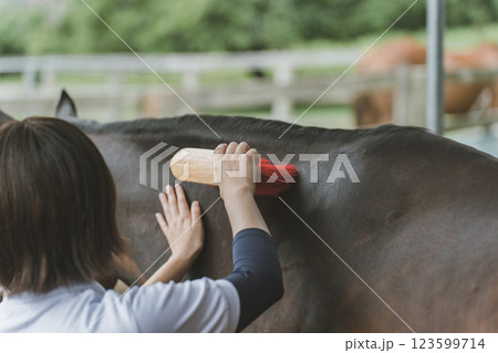 involved with horses 123599714