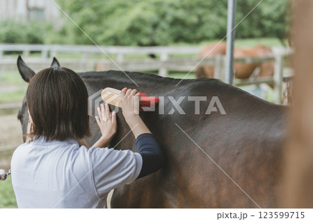 involved with horses involved with horses 123599715