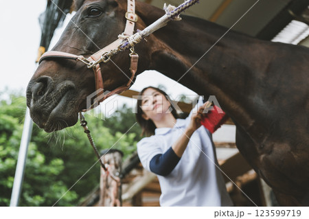 involved with horses involved with horses 123599719