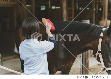 involved with horses involved with horses 123599724
