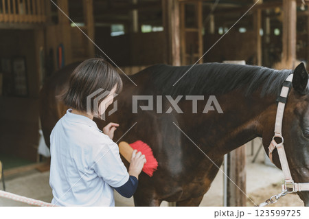 involved with horses involved with horses 123599725