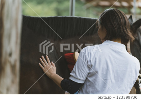 involved with horses 123599730