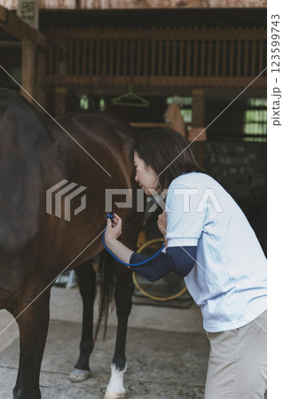 involved with horses 123599743