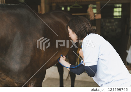 involved with horses 123599746