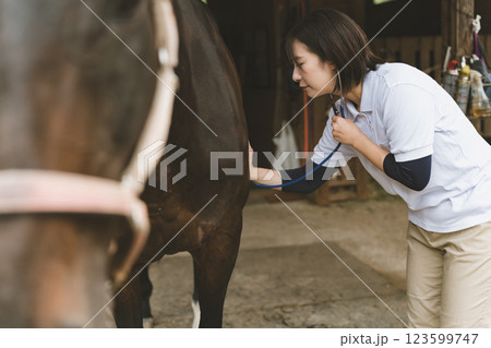 involved with horses 123599747