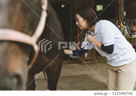 involved with horses 123599748