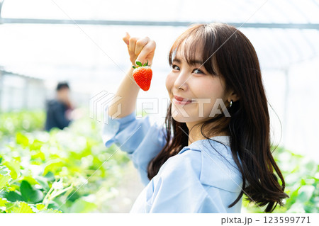 イチゴ狩りをする女性　いちご狩りをする女性 123599771