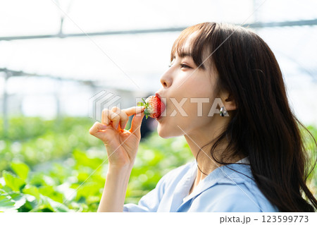 イチゴ狩りをする女性 いちご狩りをする女性 イチゴ狩りをする女性 いちご狩りをする女性 123599773