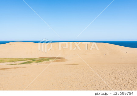 鳥取県鳥取市　鳥取の代表的な観光地　快晴の鳥取砂丘 123599784