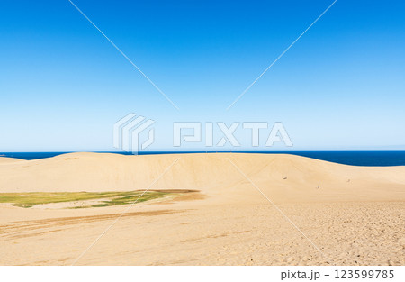 鳥取県鳥取市　鳥取の代表的な観光地　快晴の鳥取砂丘 123599785