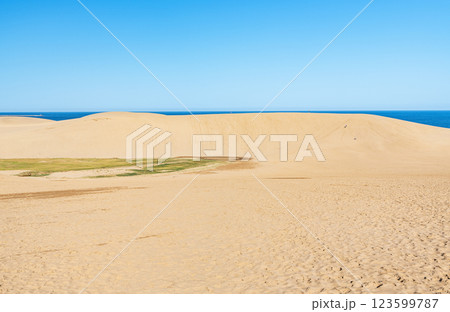 鳥取県鳥取市　鳥取の代表的な観光地　快晴の鳥取砂丘 123599787