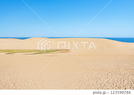 鳥取県鳥取市 鳥取の代表的な観光地 快晴の鳥取砂丘 鳥取県鳥取市 鳥取の代表的な観光地 快晴の鳥取砂丘 123599788