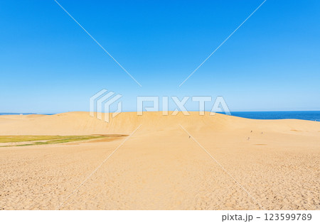 鳥取県鳥取市　鳥取の代表的な観光地　快晴の鳥取砂丘 123599789