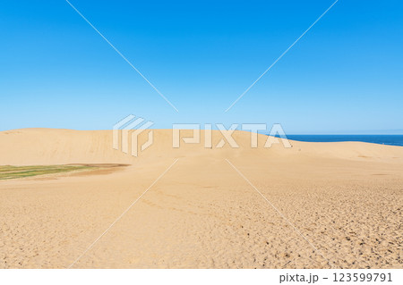 鳥取県鳥取市　鳥取の代表的な観光地　快晴の鳥取砂丘 123599791