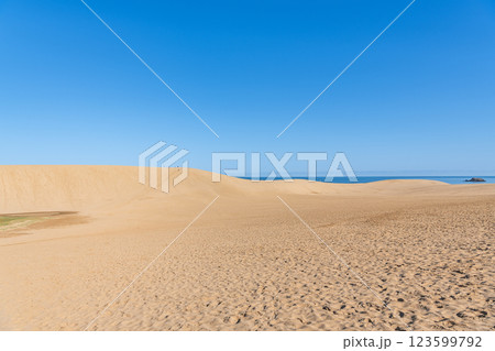 鳥取県鳥取市　鳥取の代表的な観光地　快晴の鳥取砂丘 123599792