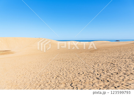 鳥取県鳥取市　鳥取の代表的な観光地　快晴の鳥取砂丘 123599793