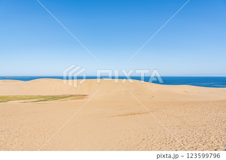 鳥取県鳥取市　鳥取の代表的な観光地　快晴の鳥取砂丘 123599796