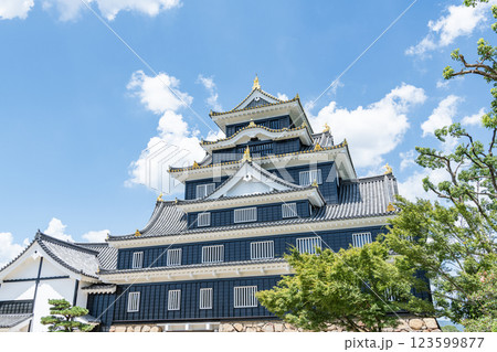 岡山県岡山市　日本100名城　令和の大改修を終えた快晴の岡山城天守 123599877