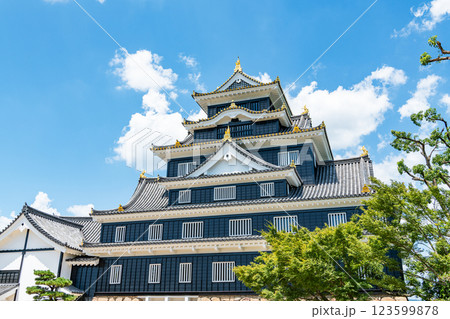 岡山県岡山市 日本100名城 令和の大改修を終えた快晴の岡山城天守 岡山県岡山市 日本100名城 令和の大改修を終えた快晴の岡山城天守 123599878