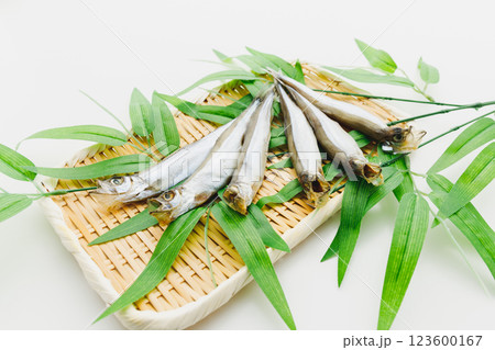 食べておいしい　雄の樺太ししゃも 123600167