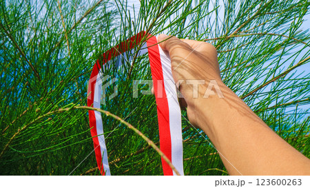 hand holding Ribbon In colors of Indonesia flag red and white, celebrate Indonesia independent day on 17 August with casuarina tree, nature decor hand holding Ribbon In colors of Indonesia flag red and white, celebrate Indonesia independent day on 17 August with casuarina tree, nature decor 123600263