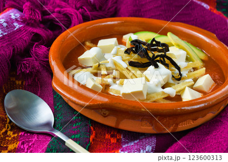 メキシコ料理のソパ・デ・トルティージャ（ソパ・アステカ） 123600313