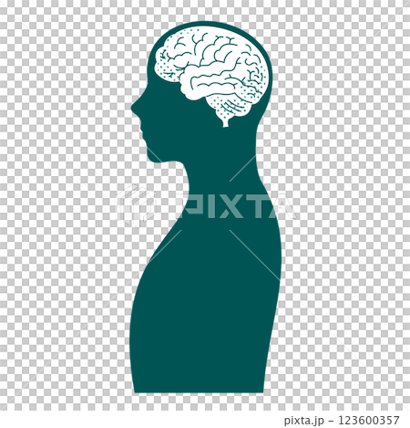 Male brain illustration 123600357